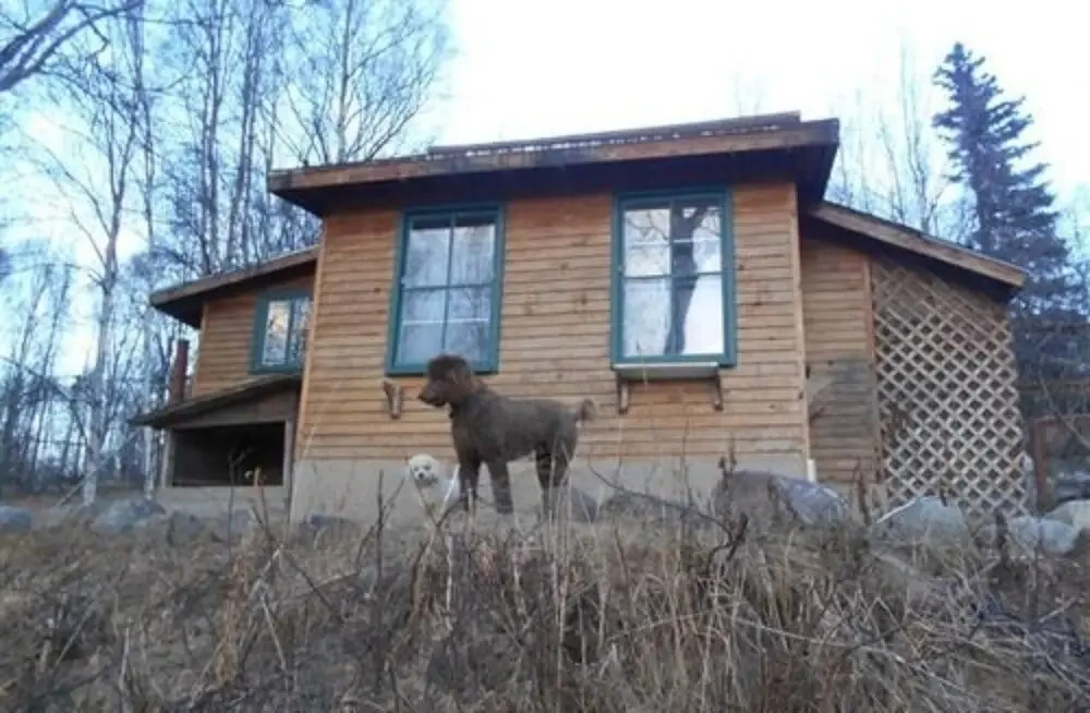 Chickadee Inn