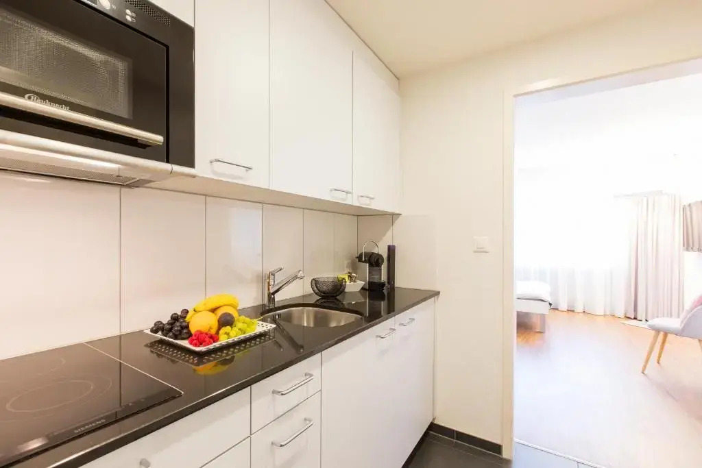 Apartmenthaus zum Trillen Basel City Center