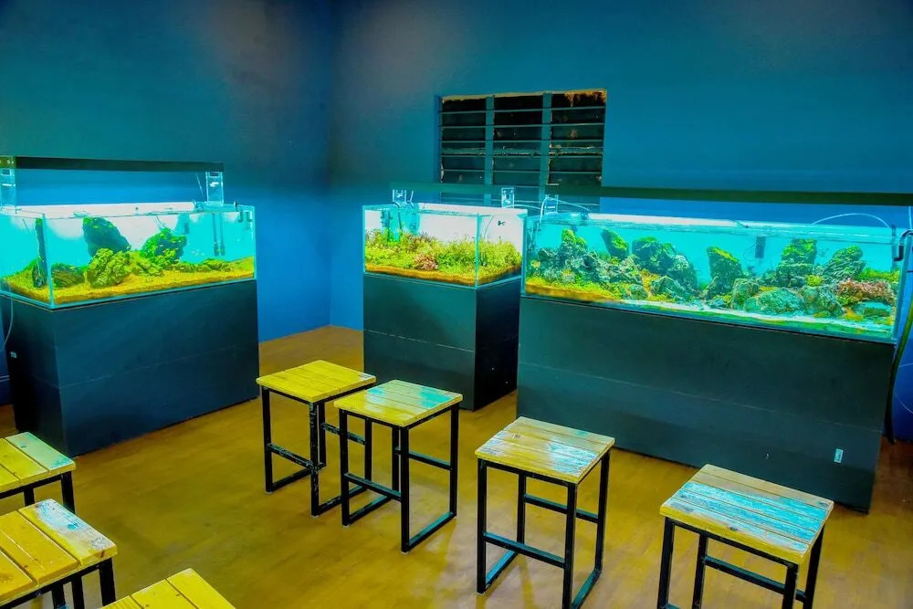 Fundera Aqua Stay