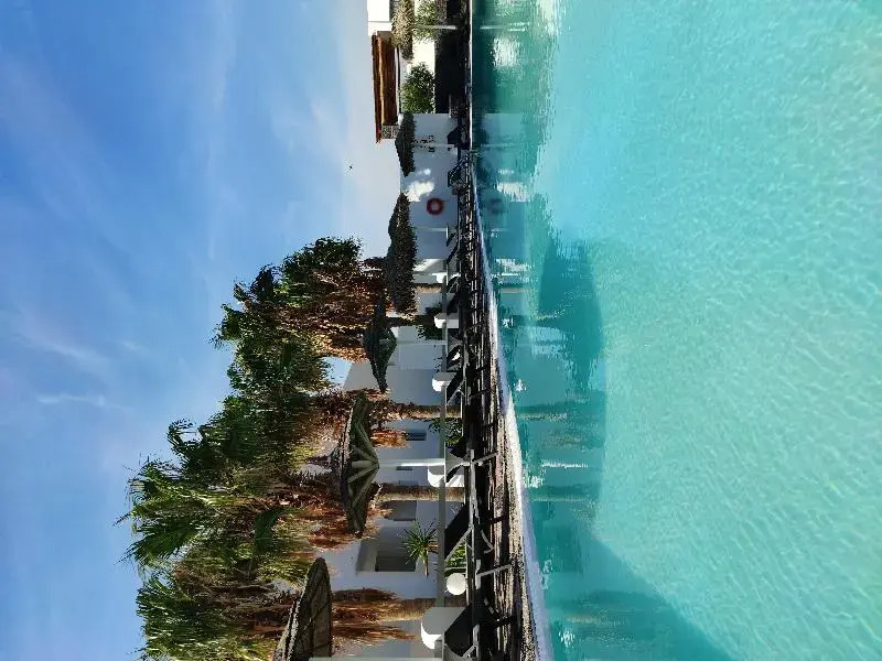 Sandy's Paradise Infinity