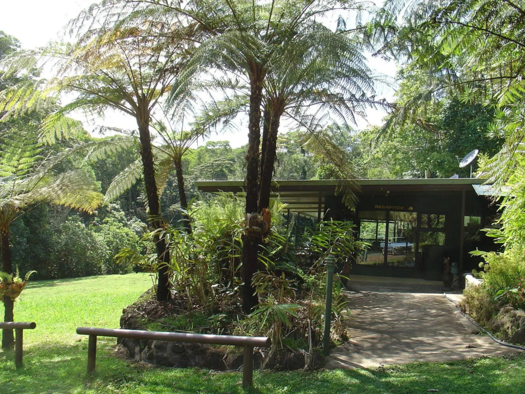 Chambers Wildlife Rainforest Lodges