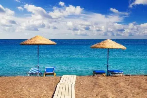 Holiday and Business Home