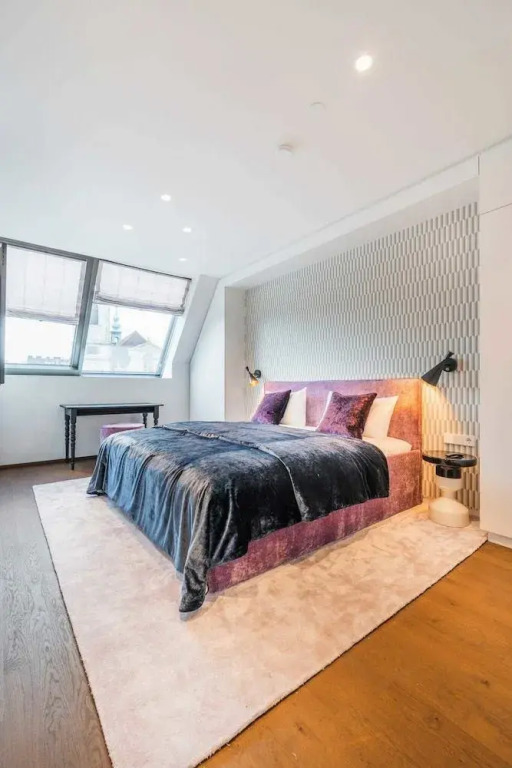 Penthouse near the town hall Vienna