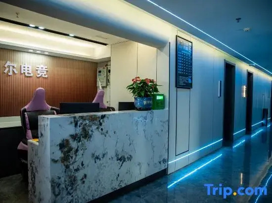 Jiujiang Weier E-Sports Hotel (Hengsheng Science and Technology Park)