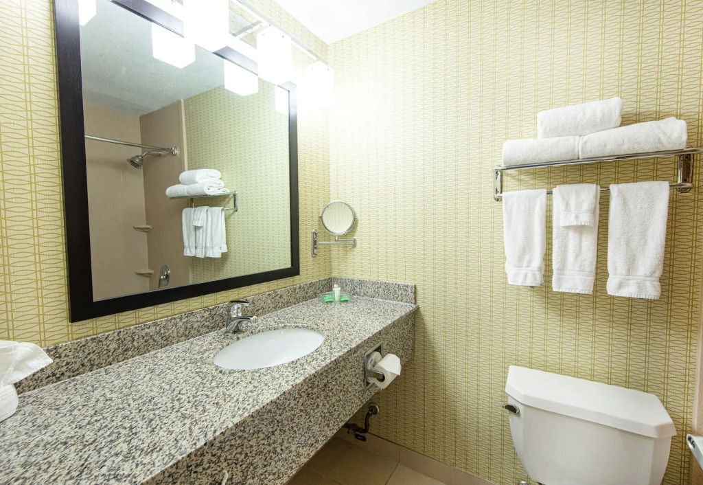 Holiday Inn St. Louis Airport West Earth City by IHG