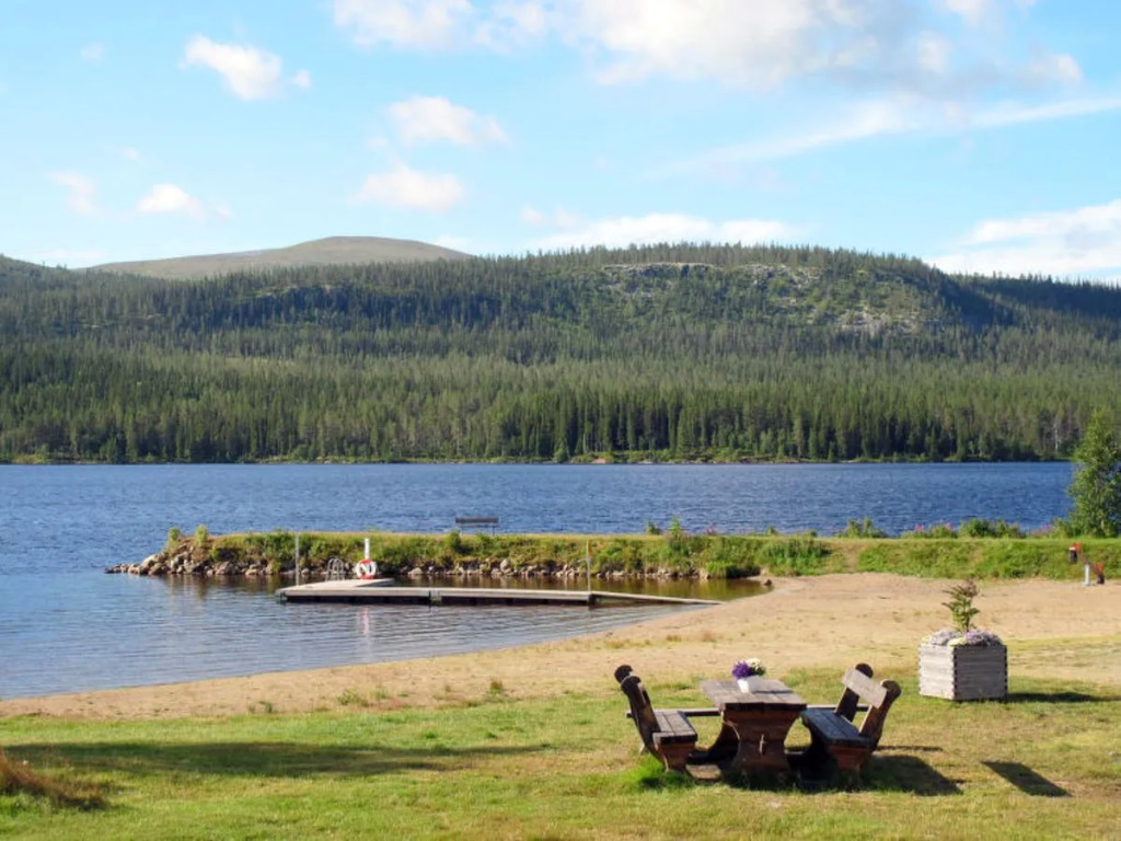 Lofsdalen Fjällbjörken (HJD054)