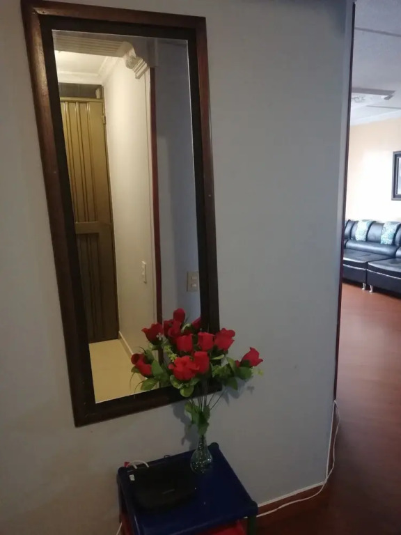 Apartamentos amoblados gran lugar