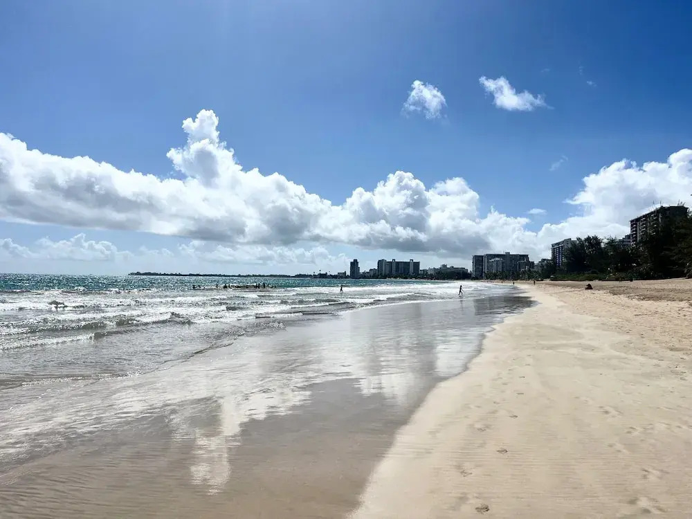 Centrally Located Sunny Apartment Walk to Beaches