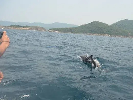 Colibri Resort