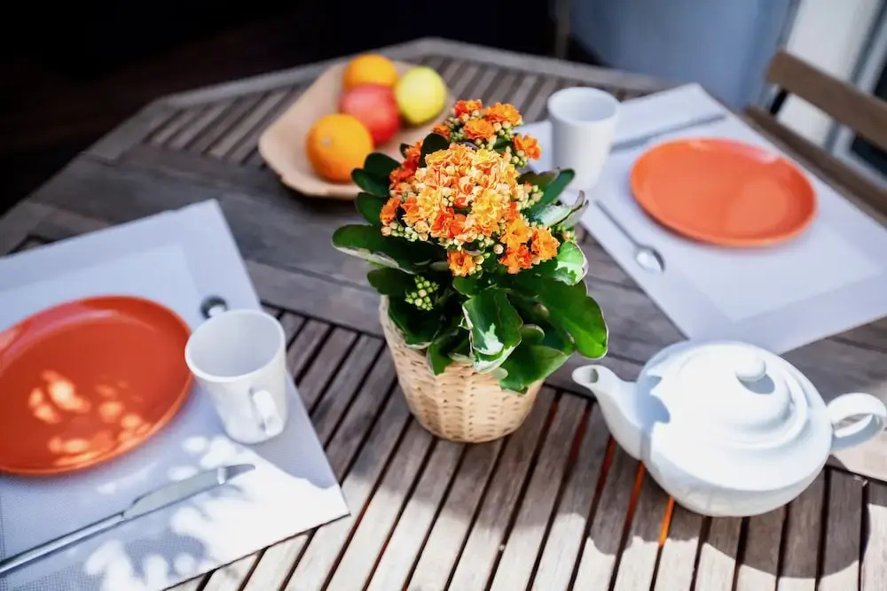 Home Chic Home - La Terrasse Bazille