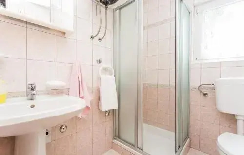 Apartman Žic