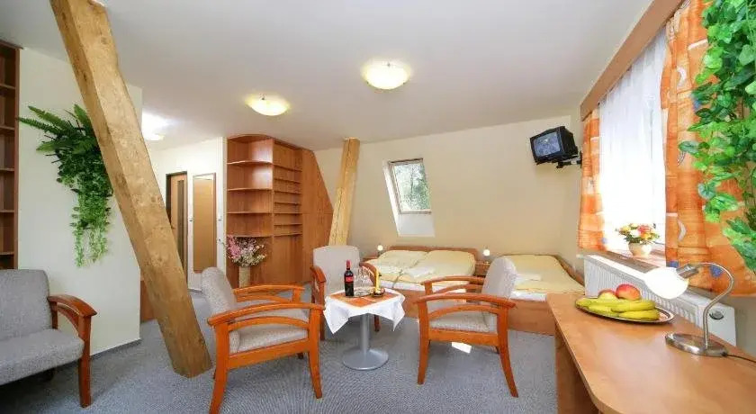 Hotel Stary Mlyn