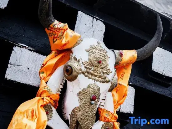 Zenvew Yading