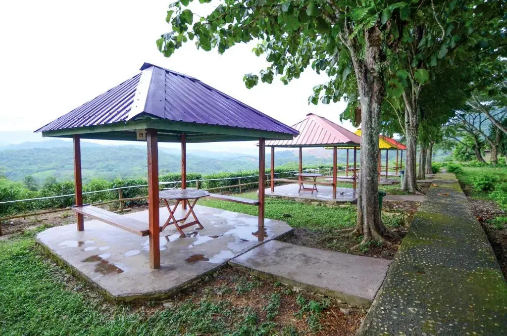 Sabah Tea Resort