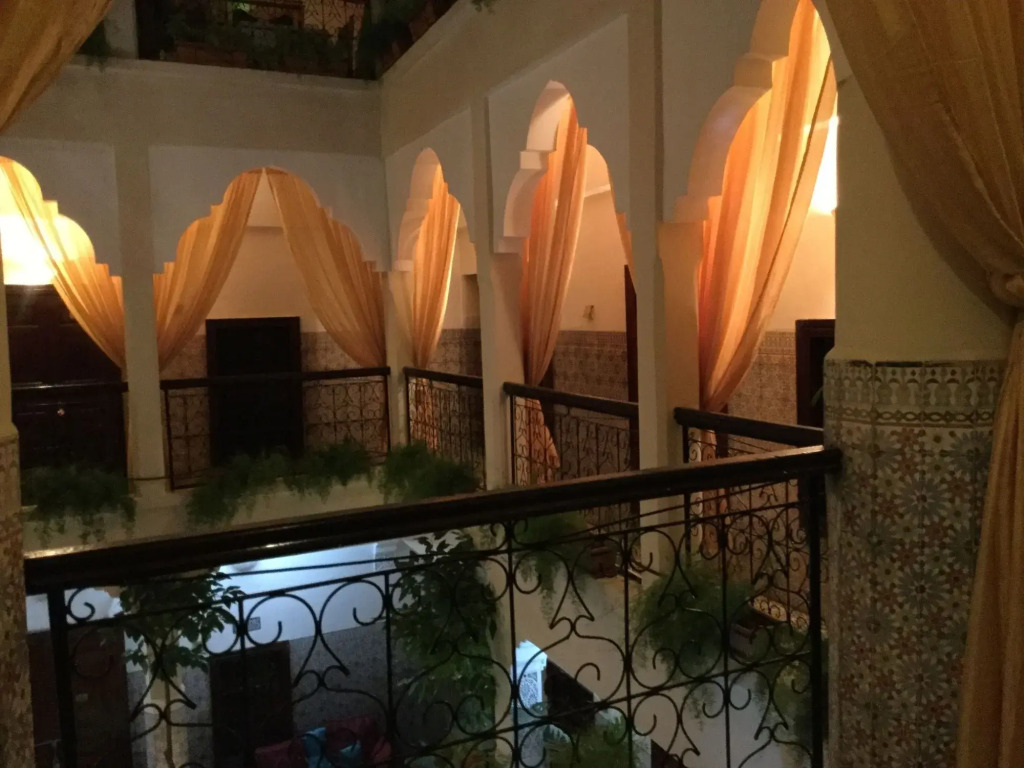 Abelia Riad - 2025 Guest Choice Award