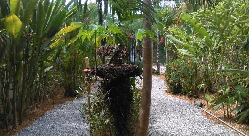 Cabinas Tropicales