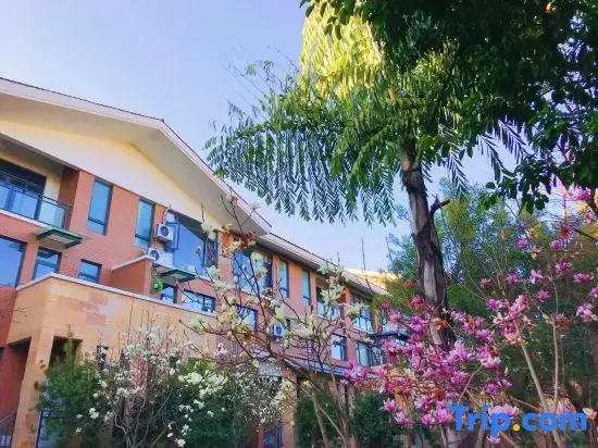 Merlin Art Hotel