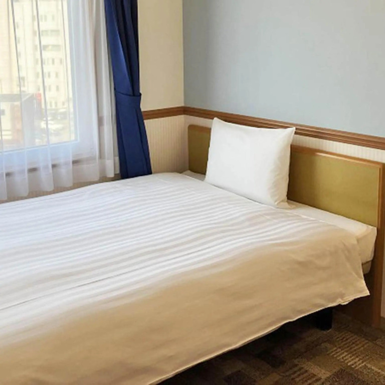 Toyoko Inn Toyama Station Sinkansen 1