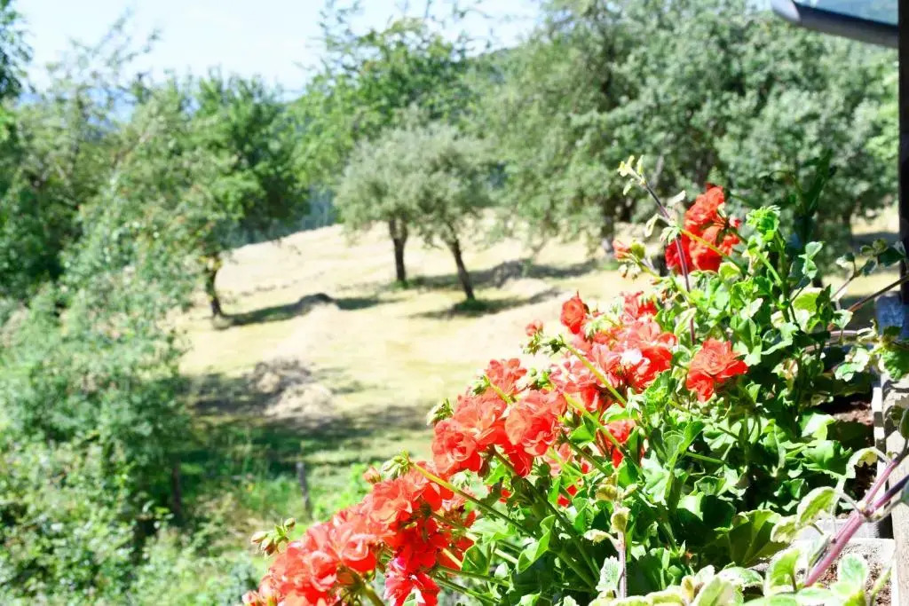 Haberlehof