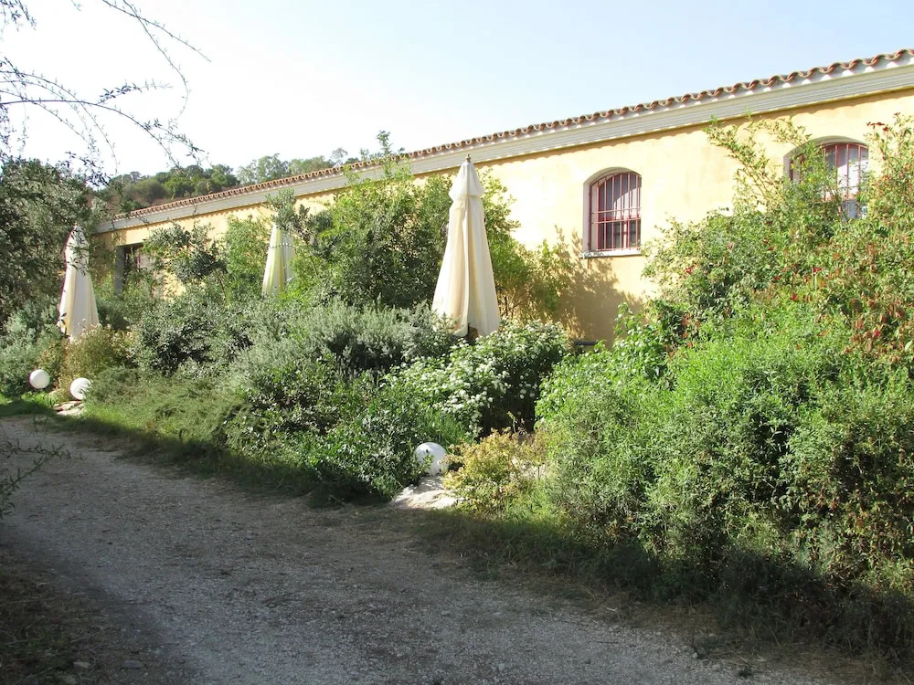 Cavalli di SArcaite