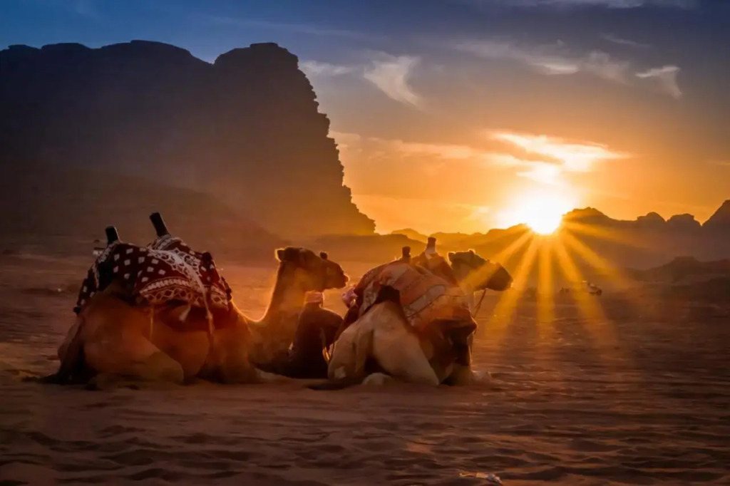 Wadi Rum Hostel and Climbing Stay