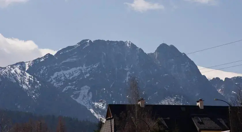 Apartamenty Arkadia
