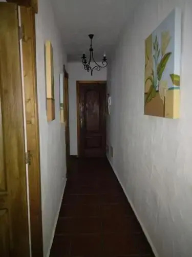 Apartamentos Trebol