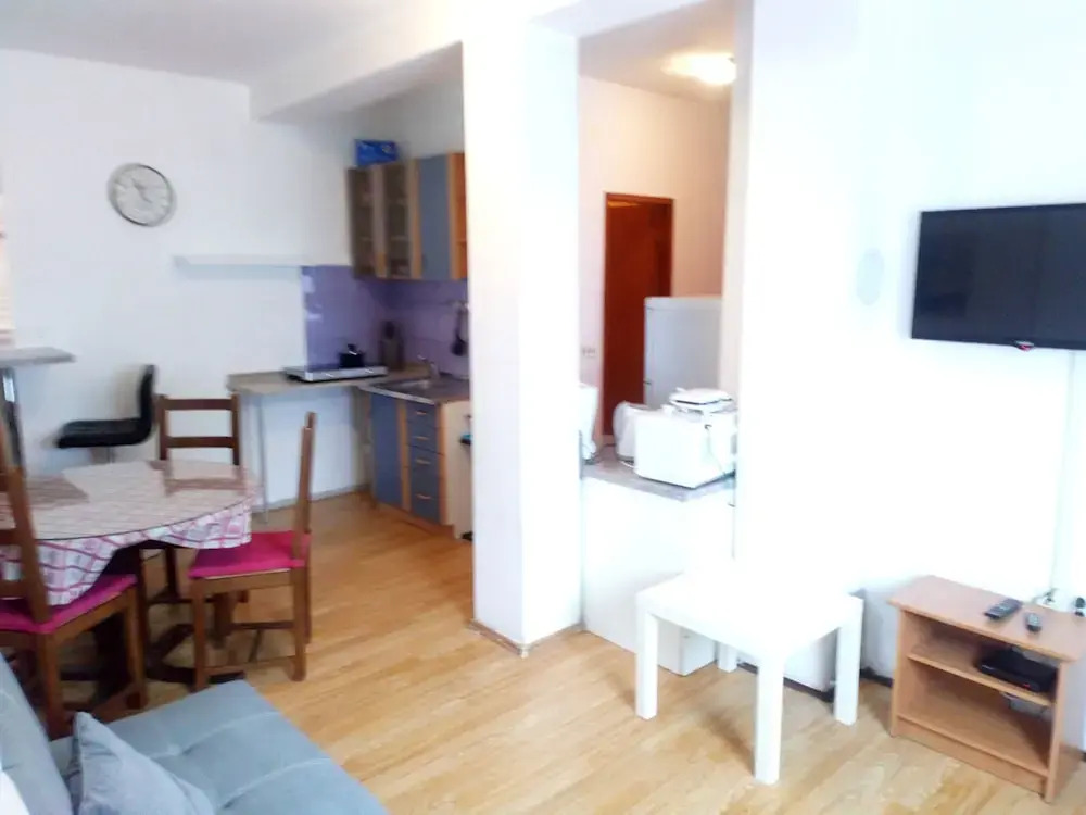 Apartment Vladimir