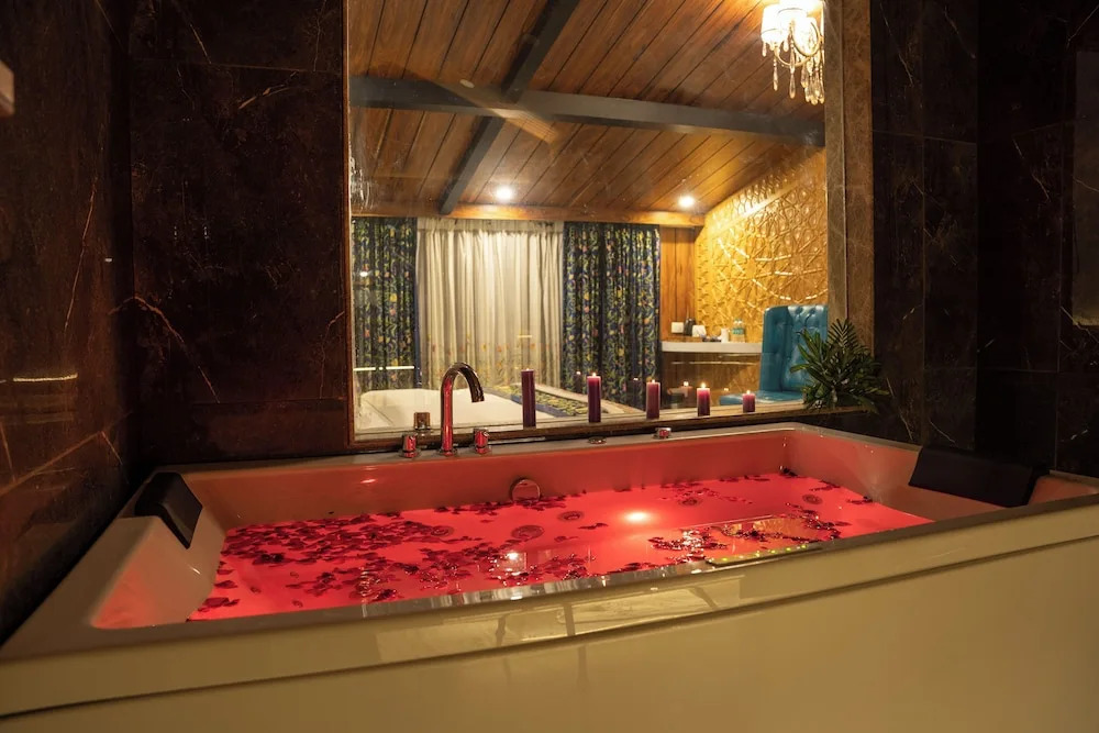 Hotel Snowland Srinagar