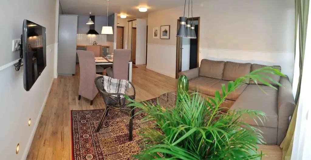 Dzuku apartment 11