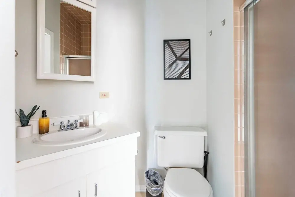 1BR Apt in Lincoln Park - Lincoln 3E