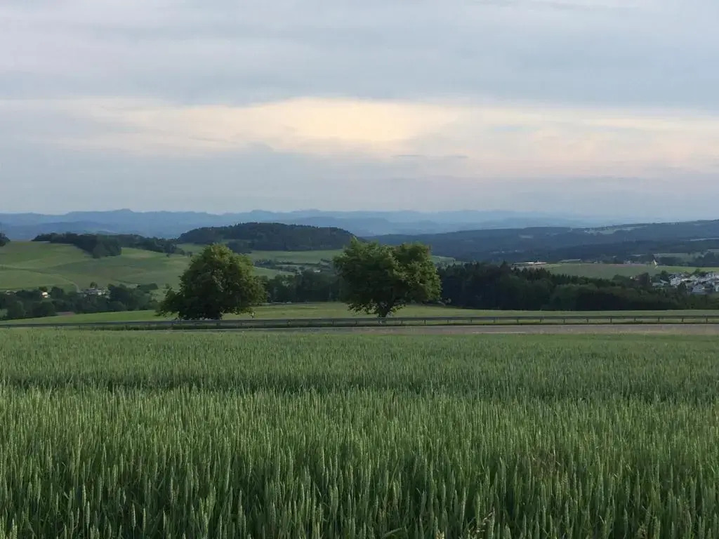 Gästehaus Adler Albtal
