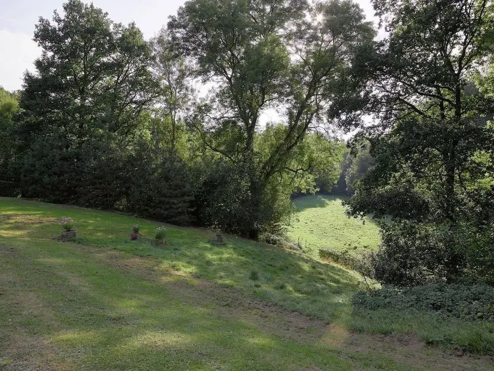 Woodland Estate, Sosoye