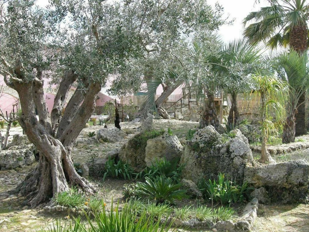 Tenuta Roveto
