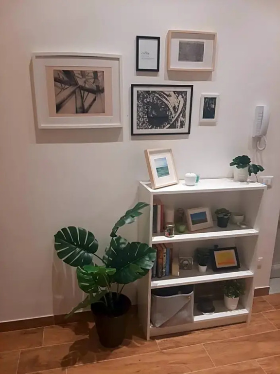Basile rooms