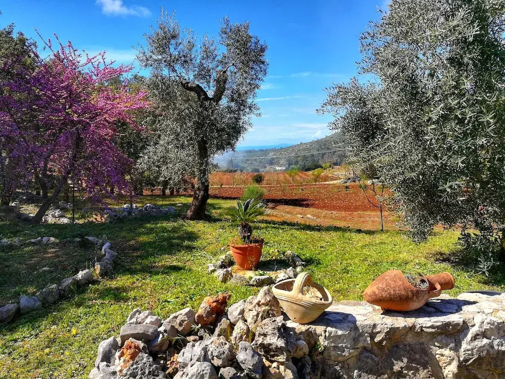 Villa Cycas Relaxation in Nature