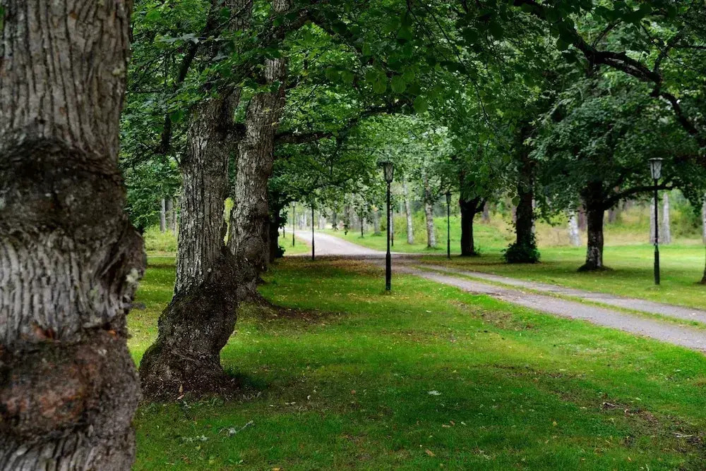 Risberg Herrgård