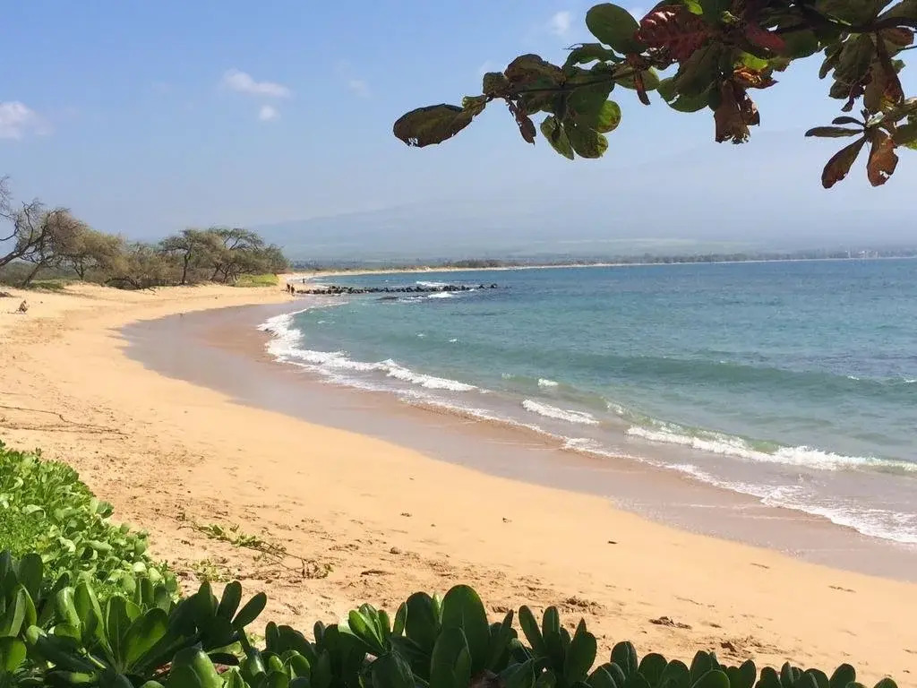 Makani A Kai