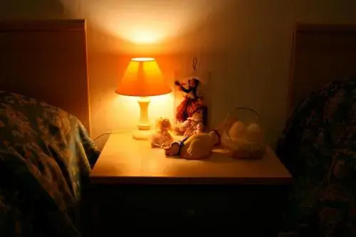 Idueleonihotel