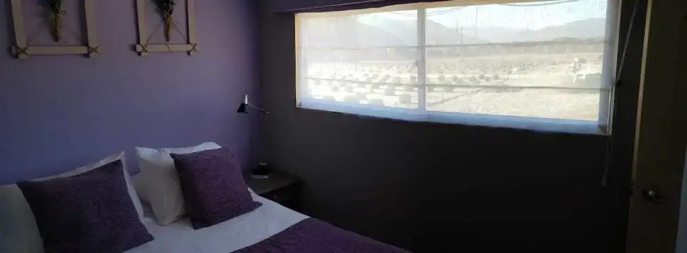Lavanda del Valle