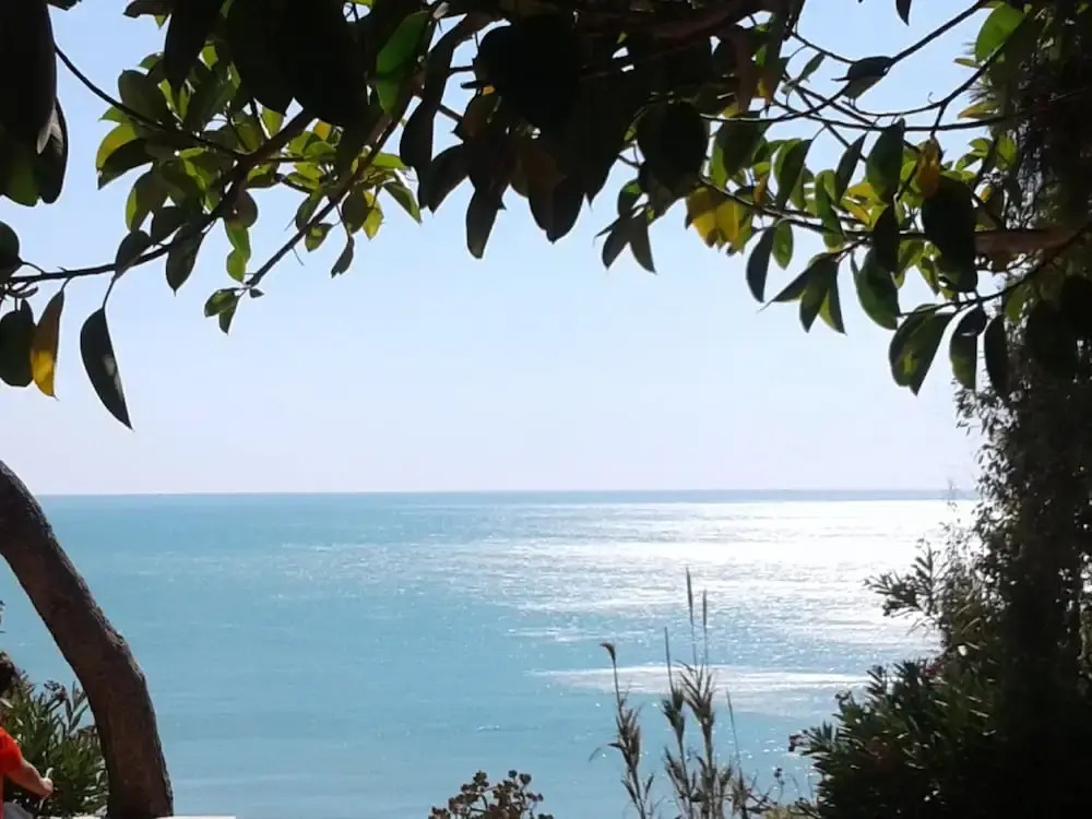 Stella sul mare
