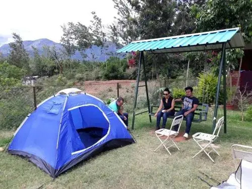 Wild Valley Nature Club
