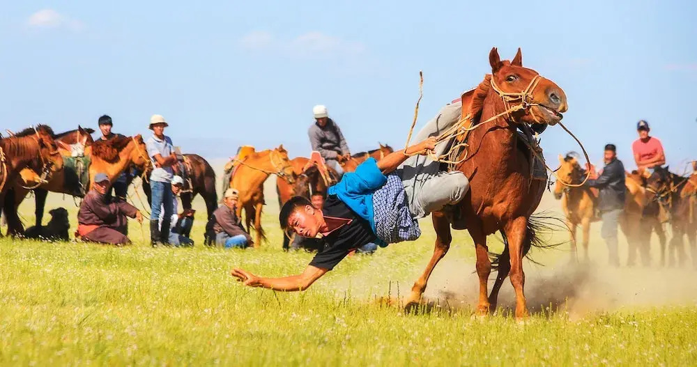 Mongolian Vision Tours