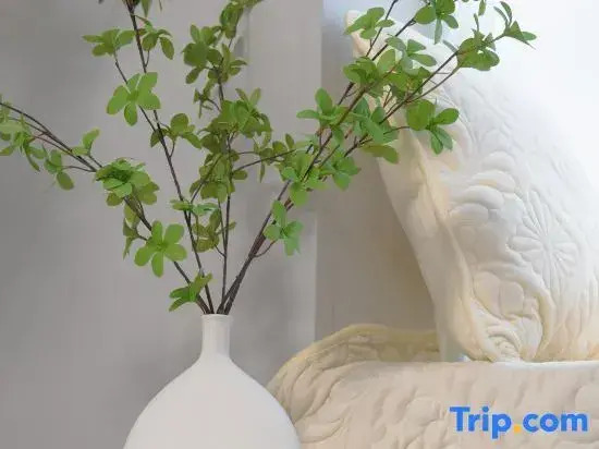 Yu. Qifeng Homestay (Kuanzhaixiangzi Alleys)