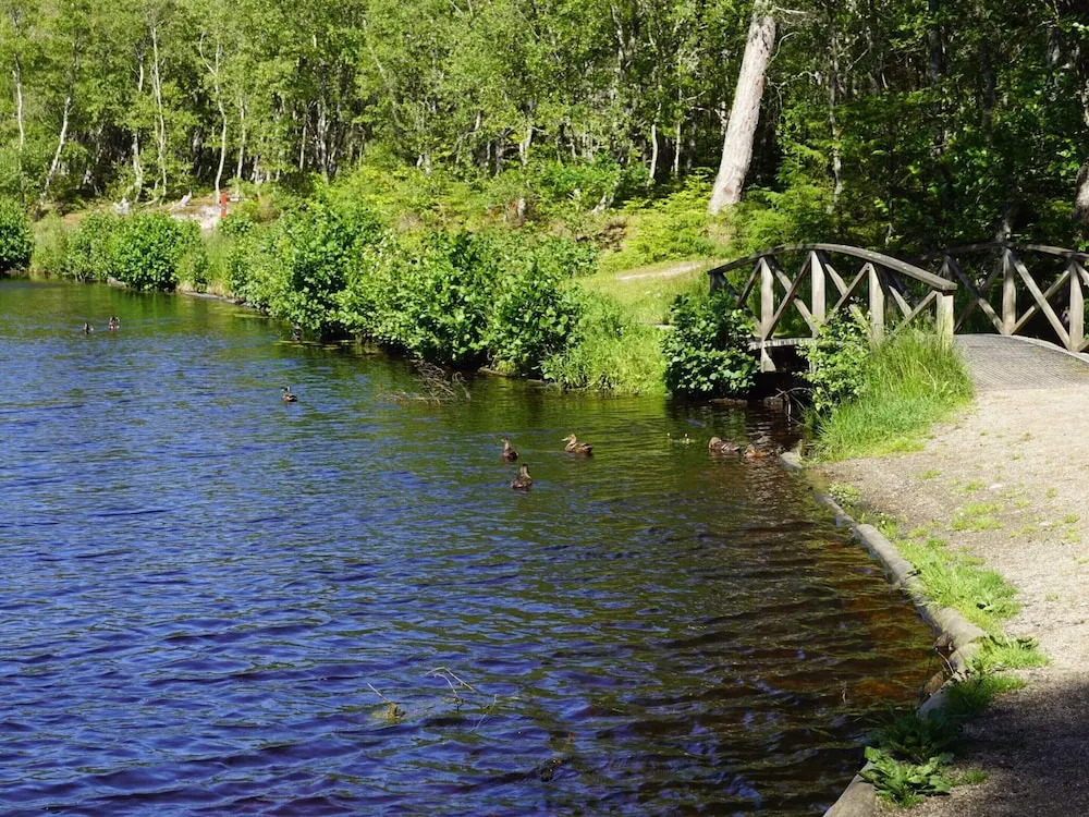 4 Star Holiday Home in Albaek
