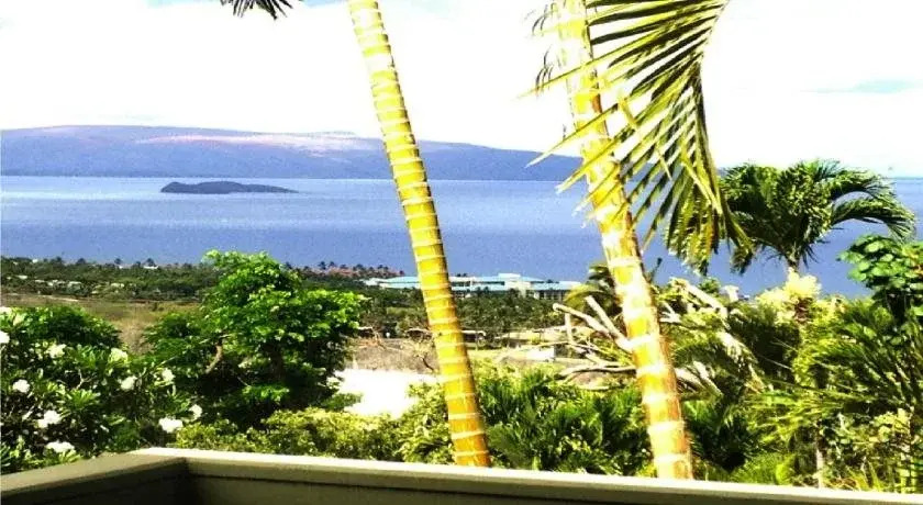 Maui Hale Olina