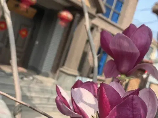 Shuianxiangju Boutique Homestay