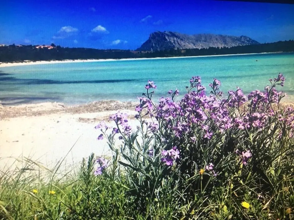 Apartment With 3 Bedrooms in Puntaldia, With Wonderful sea View, Shared Pool and Furnished Terrace Near the Beach