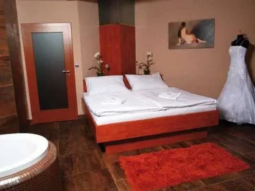 Hotel Zelený Strom