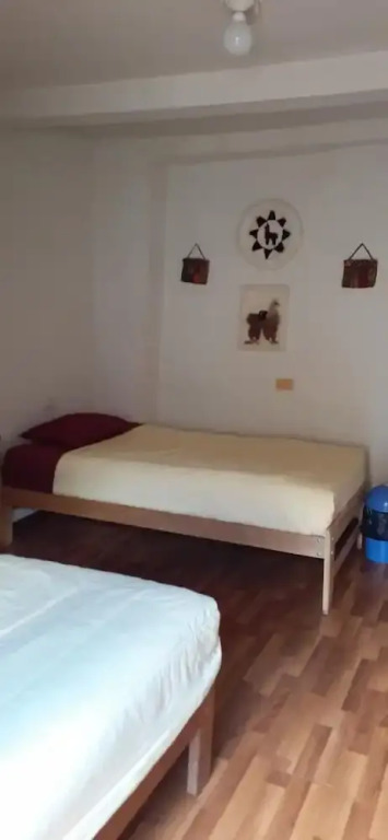 The Grasshopper Hostels AV Alta